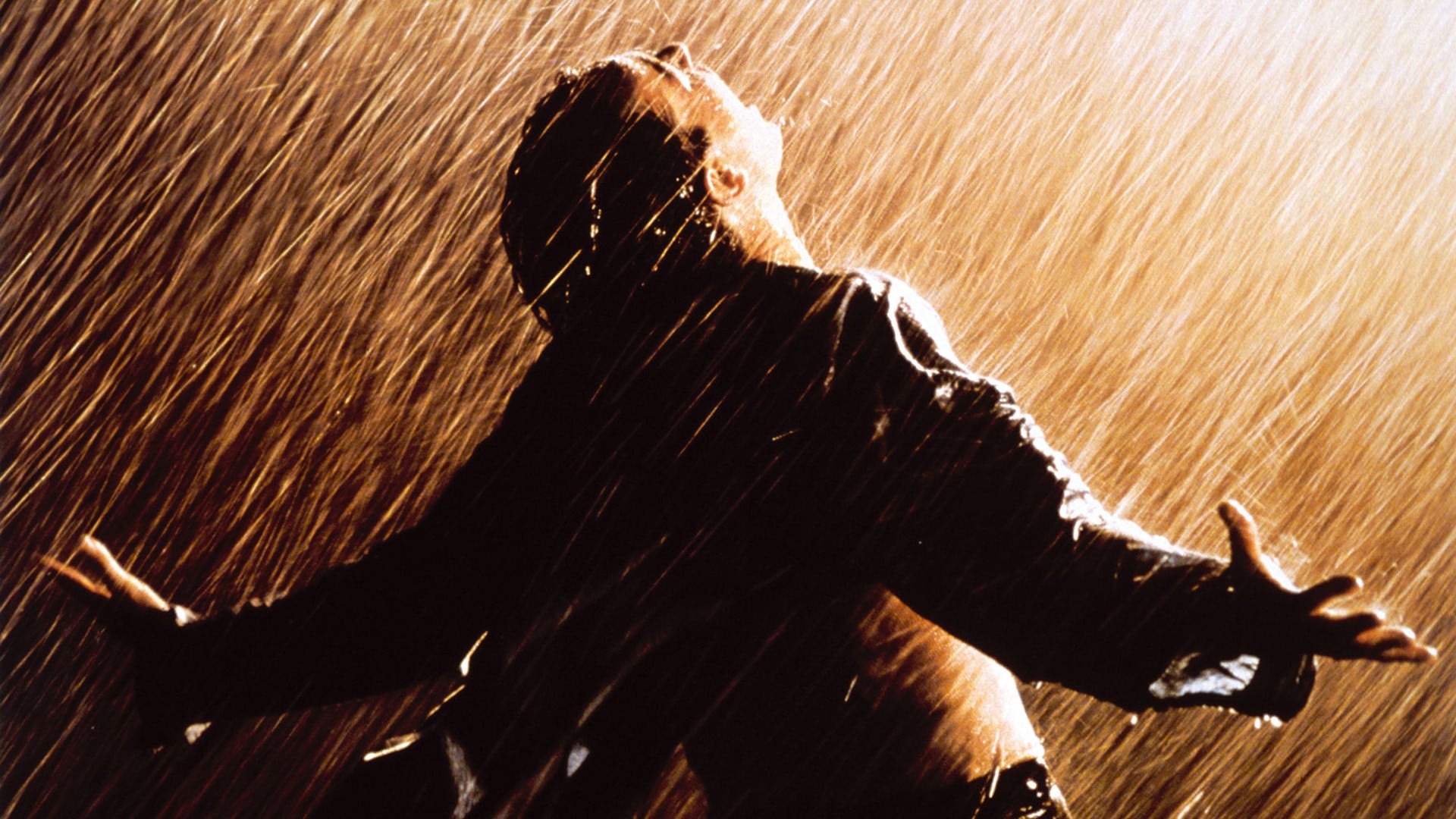 The Shawshank Redemption ชอว์แชงค์ มิตรภาพ ความหวัง ความรุนแรง (1994)