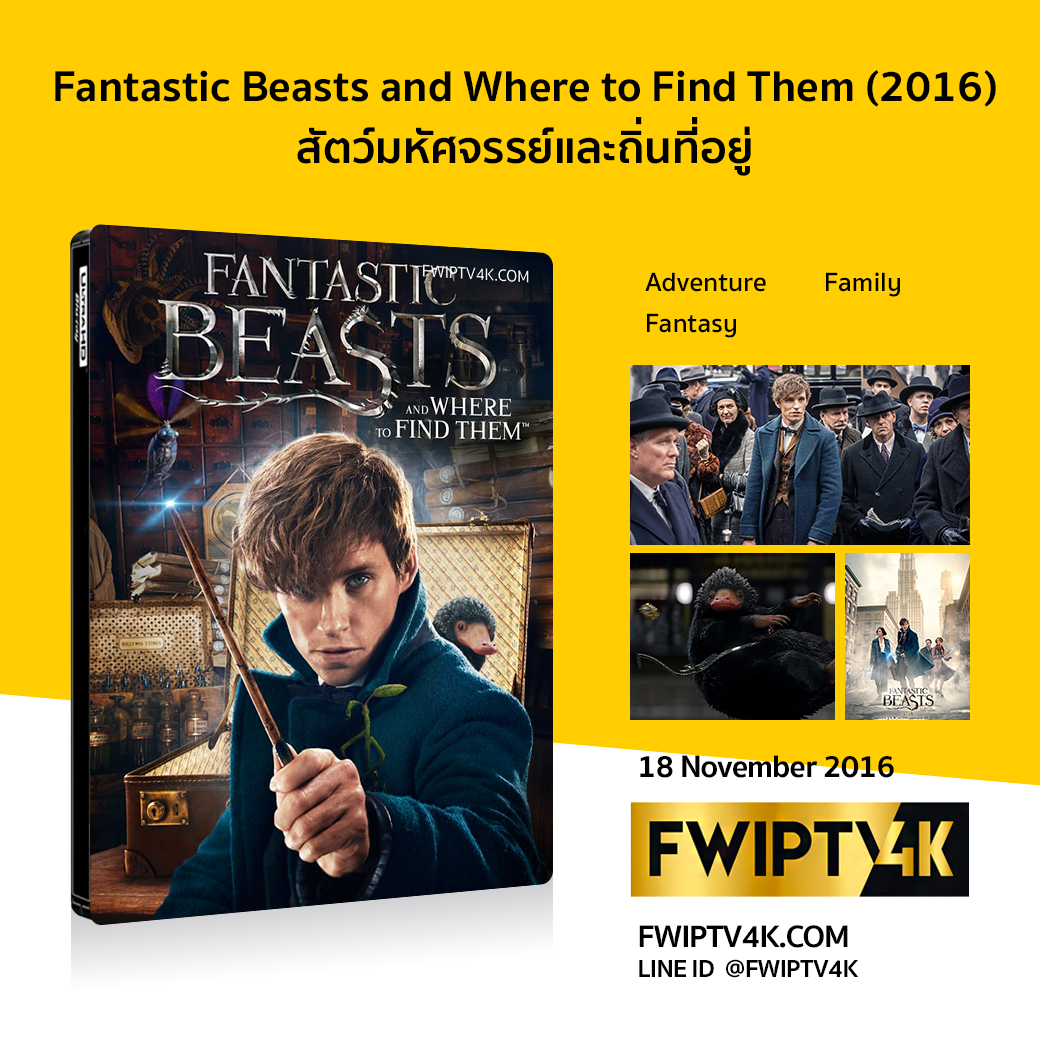 Fantastic Beasts and Where to Find Them สัตว์มหัศจรรย์และถิ่นที่อยู่ (2016)