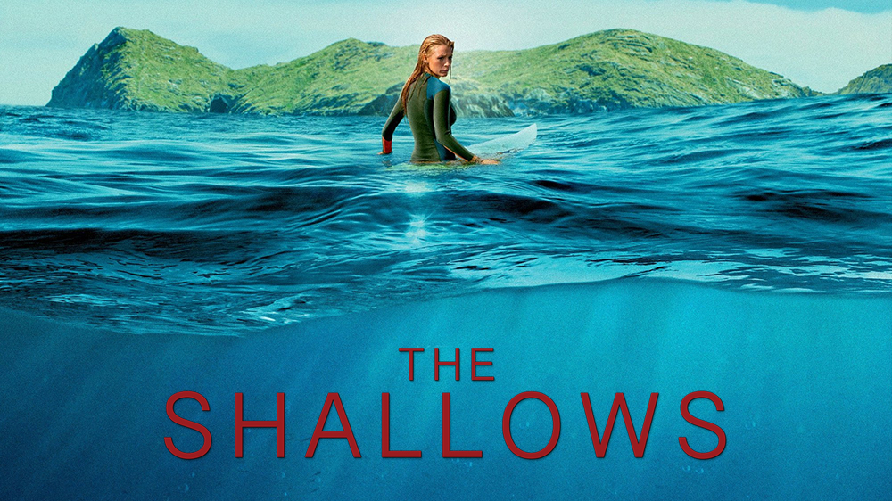 the shallows
